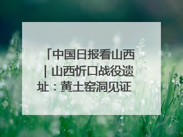 中国日报看山西｜山西忻口战役遗址：黄土窑洞见证全民抗战记忆