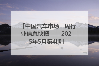 中国汽车市场一周行业信息快报——2025年5月第4期