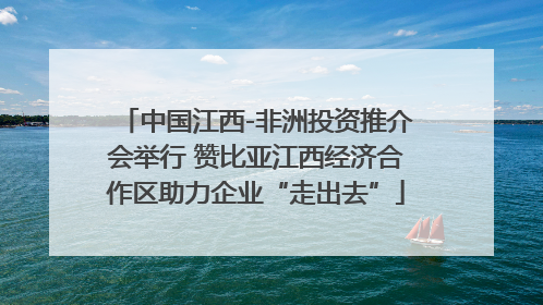 中国江西-非洲投资推介会举行 赞比亚江西经济合作区助力企业“走出去”