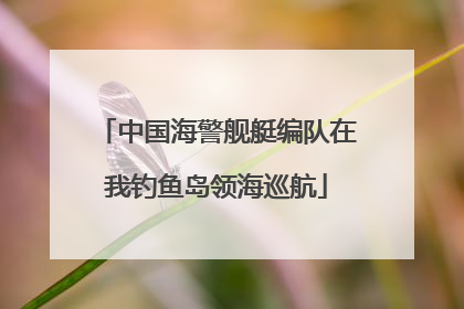 中国海警舰艇编队在我钓鱼岛领海巡航