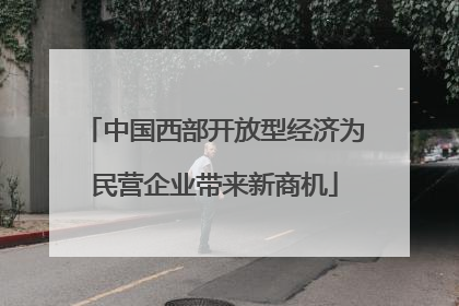 中国西部开放型经济为民营企业带来新商机