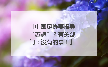 中国足协要指导“苏超”？有关部门：没有的事！