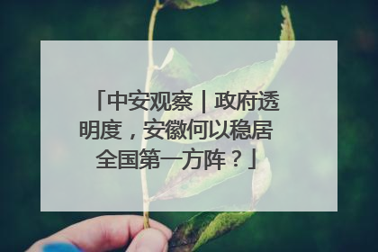 中安观察｜政府透明度，安徽何以稳居全国第一方阵？