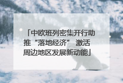 中欧班列密集开行助推“落地经济” 激活周边地区发展新动能