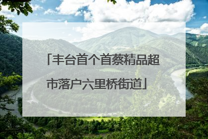 丰台首个首蔡精品超市落户六里桥街道