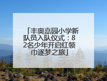 丰奥嘉园小学新队员入队仪式:82名少年开启红领巾逐梦之旅