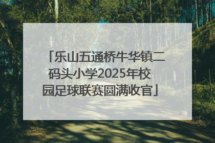 乐山五通桥牛华镇二码头小学2025年校园足球联赛圆满收官