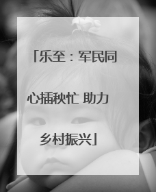 乐至：军民同心插秧忙 助力乡村振兴