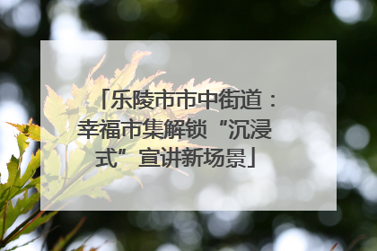 乐陵市市中街道：幸福市集解锁“沉浸式”宣讲新场景