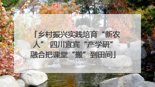 乡村振兴实践培育“新农人” 四川宜宾“产学研”融合把课堂“搬”到田间