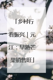 乡村行 看振兴｜元江：早熟芒果销售旺