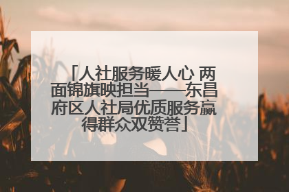 人社服务暖人心 两面锦旗映担当——东昌府区人社局优质服务赢得群众双赞誉