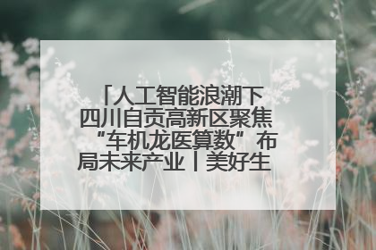 人工智能浪潮下 四川自贡高新区聚焦“车机龙医算数”布局未来产业丨美好生活有“盐”味