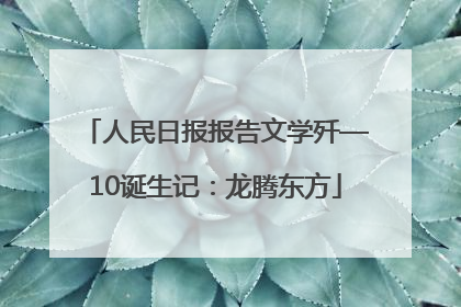 人民日报报告文学歼—10诞生记：龙腾东方