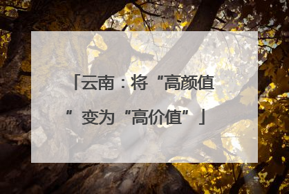 云南：将“高颜值”变为“高价值”