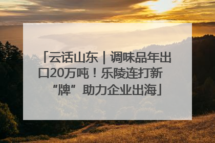 云话山东｜调味品年出口20万吨！乐陵连打新“牌”助力企业出海