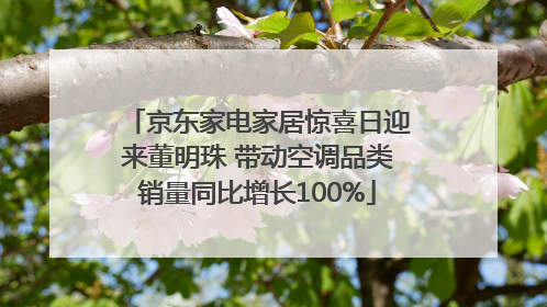 京东家电家居惊喜日迎来董明珠 带动空调品类销量同比增长100%
