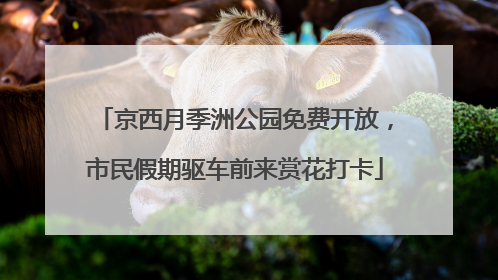 京西月季洲公园免费开放，市民假期驱车前来赏花打卡