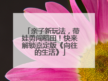 亲子新玩法，带娃勇闯稻田！快来解锁嘉定版《向往的生活》