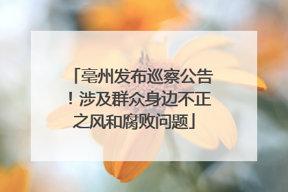 亳州发布巡察公告！涉及群众身边不正之风和腐败问题