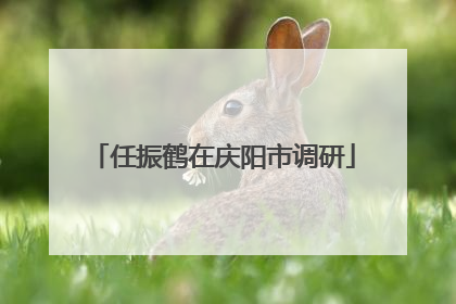 任振鹤在庆阳市调研