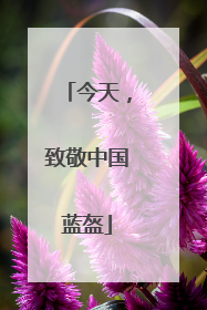 今天，致敬中国蓝盔