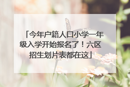 今年户籍人口小学一年级入学开始报名了！六区招生划片表都在这