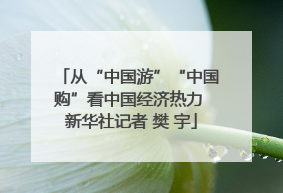 从“中国游”“中国购”看中国经济热力 新华社记者 樊 宇