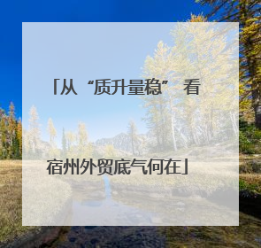 从“质升量稳” 看宿州外贸底气何在