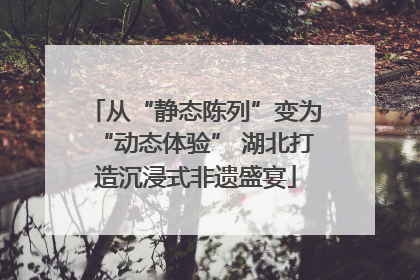 从“静态陈列”变为“动态体验” 湖北打造沉浸式非遗盛宴