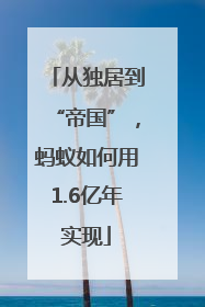 从独居到“帝国”，蚂蚁如何用1.6亿年实现