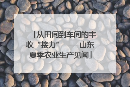 从田间到车间的丰收“接力”——山东夏季农业生产见闻