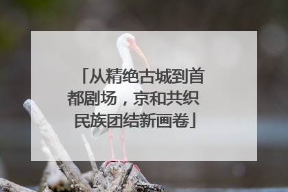 从精绝古城到首都剧场，京和共织民族团结新画卷