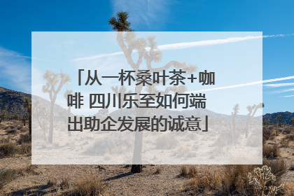 从一杯桑叶茶+咖啡 四川乐至如何端出助企发展的诚意
