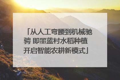 从人工弯腰到机械驰骋 即墨蓝村水稻种植开启智能农耕新模式