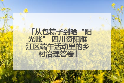 从包粽子到晒“阳光账” 四川资阳雁江区端午活动里的乡村治理答卷
