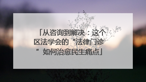 从咨询到解决：这个区法学会的“法律门诊”如何治愈民生痛点
