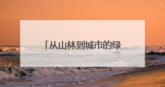 从山林到城市的绿色接力 “漫步缙云·青山驿站”探索生态文明新实践