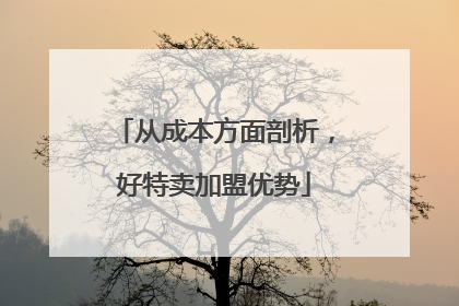 从成本方面剖析，好特卖加盟优势