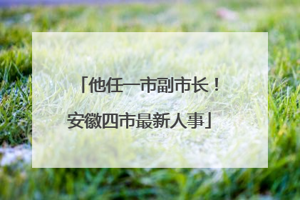 他任一市副市长！安徽四市最新人事