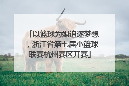 以篮球为媒追逐梦想，浙江省第七届小篮球联赛杭州赛区开赛