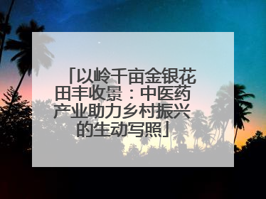以岭千亩金银花田丰收景：中医药产业助力乡村振兴的生动写照