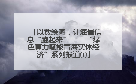 以数绘图，让海量信息“跑起来”——“绿色算力赋能青海实体经济”系列报道①