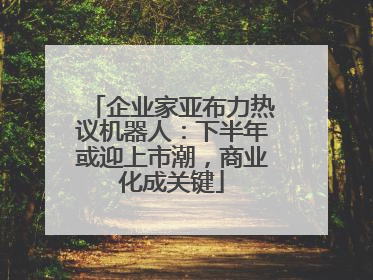企业家亚布力热议机器人：下半年或迎上市潮，商业化成关键