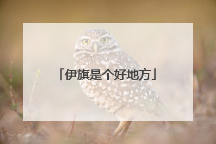 伊旗是个好地方