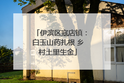 伊滨区寇店镇：白玉山药扎根 乡村土里生金