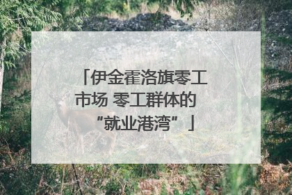 伊金霍洛旗零工市场 零工群体的“就业港湾”