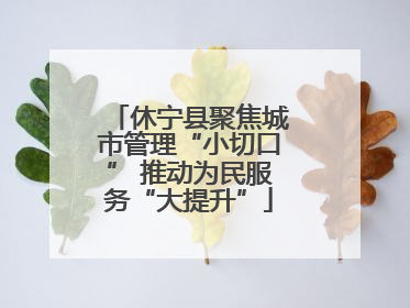 休宁县聚焦城市管理“小切口” 推动为民服务“大提升”