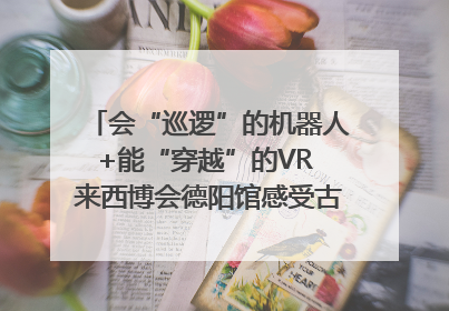 会“巡逻”的机器人+能“穿越”的VR 来西博会德阳馆感受古蜀文明与现代智造的时空对话｜西博视界