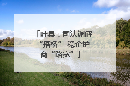 叶县：司法调解“搭桥” 稳企护商“路宽”